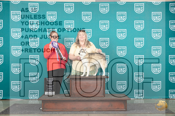 Alaskan Klee Kai #111 Wed BF Judge Brenda Landers__JP_0512_Premier_2024_HR3