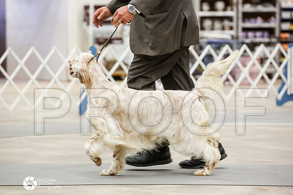 _JN_0852-AblnMay2014-web
