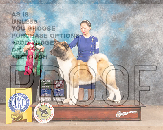 Akita #27 Fri AOMBOH Judge Gloria Kerr-MMJ_7325-FW2022-HR3