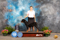 Rottweiler #5 Fri RWD Judge Robert Shreve