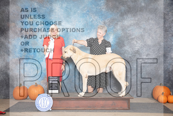 Anatolian Shepherd #7 Sun G4 Judge Jan Paulk__JP_9682_Humble_2024_HR3