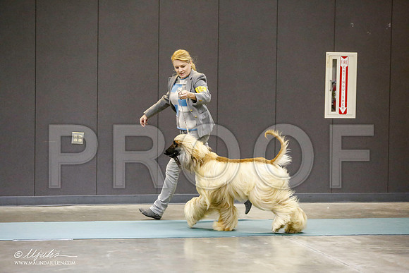 _RH_0737-BeltonJan2015-HR3