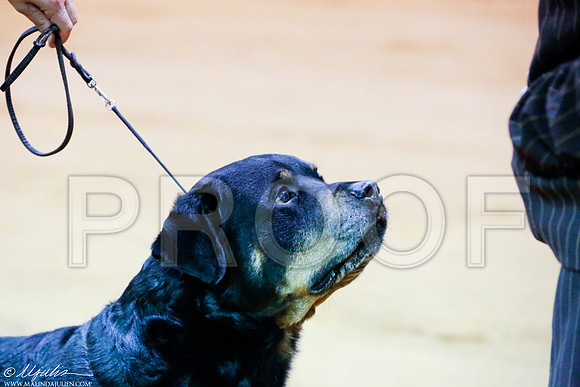 _RH_8353 Marsh Dec 2014
