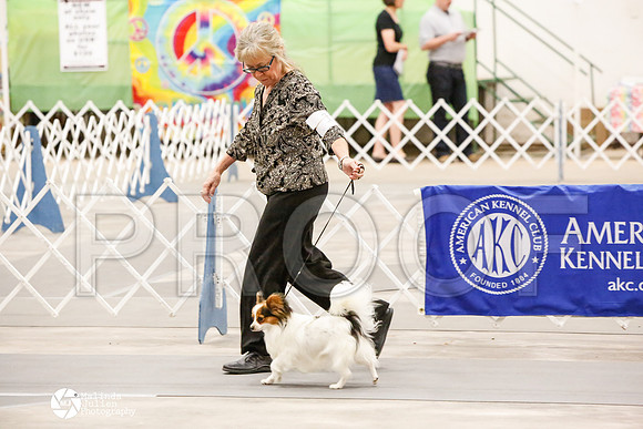 _CK_7460-AblnMay2014-web