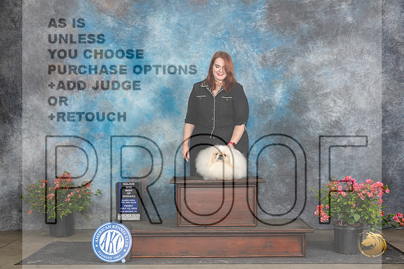 Pekingese #5 Fri WDBOWM Judge Azalea Alvarez__JP_4450_San Antonio_2024_HR3