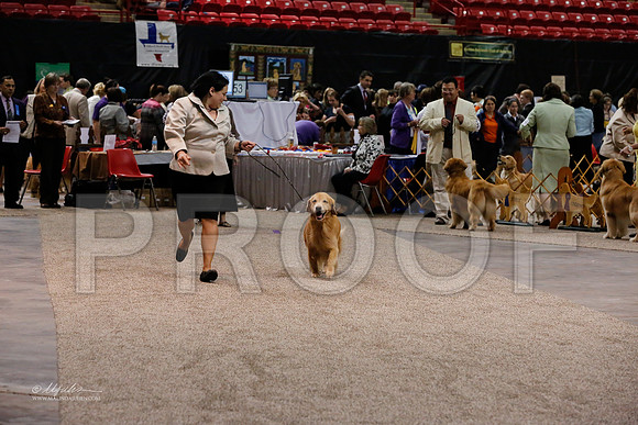 Vet8-10-0003-WFOct2013-HR