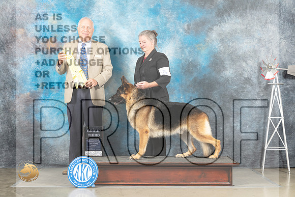 German Shepherd Dog #5 Sun G3 Judge Eric Liebes_MJ_4993_Amarillo_2022_HR3