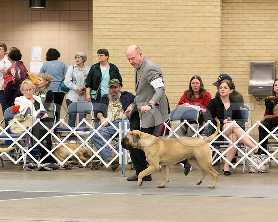 9-12Pup-8526