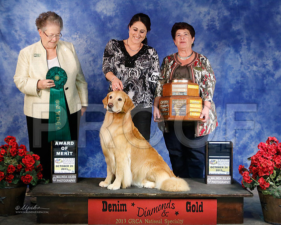 GRCABestVet-5473-WFOct2013-HR