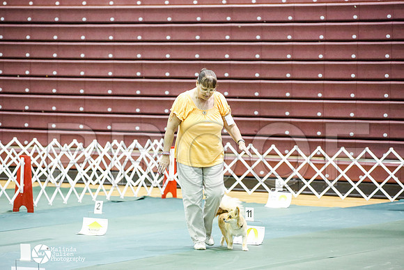 _JJ_4327-BsrCtyJun2014-HR3