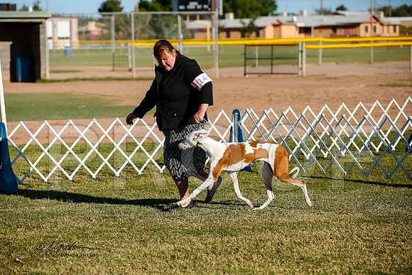 _JJ_2035-AlamogordoOct2014-HR3