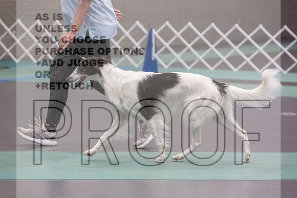 Silken Windhound Ring Sat_JJL_8384_UKCLNGVIEWOCT2024_2024_HR3
