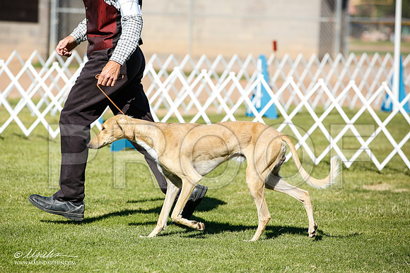 _JN_5751-AlamogordoOct2014-HR3