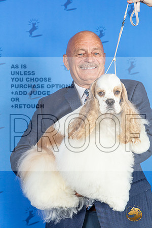 CUSTOM Cocker Spaniel Reggie SAT__JP_9848_Houston_2024_HR3