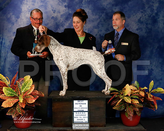 GSP-8933-NormNov2013-HR