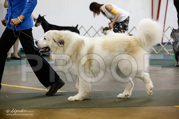 _JJ_5573-DenJun14-HR3