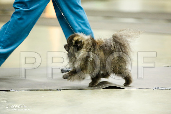 _JJ_5446-BeltonJan2015IABCA-HR3