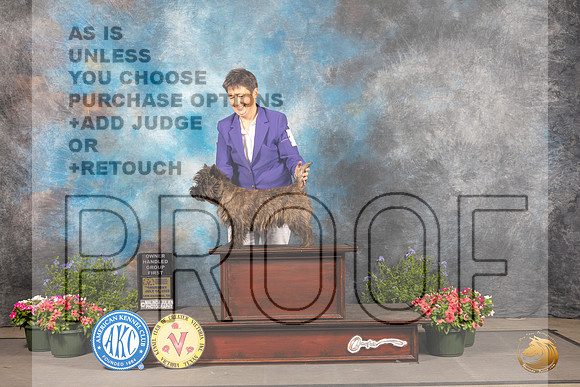 Cairn Terrier #5 Thu OHG1 Judge Anne Bolus_MJ_0011_SA_2022_HR3
