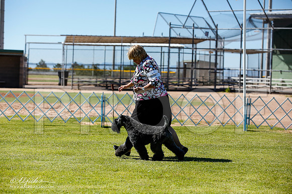 _JN_4855-AlamogordoOct2014-HR3
