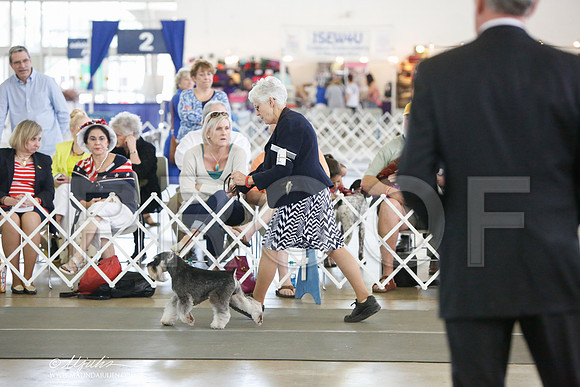 _JJ_2197-DallasJul2014-HR3