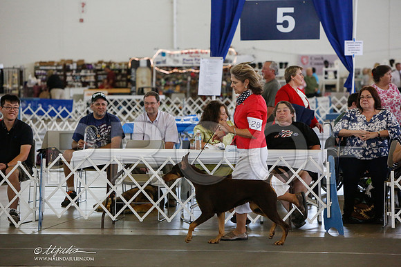 _JJ_1585-DallasJul2014-HR3