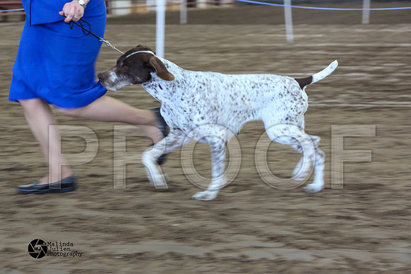 MJ2_1254-WacoFeb14-HR