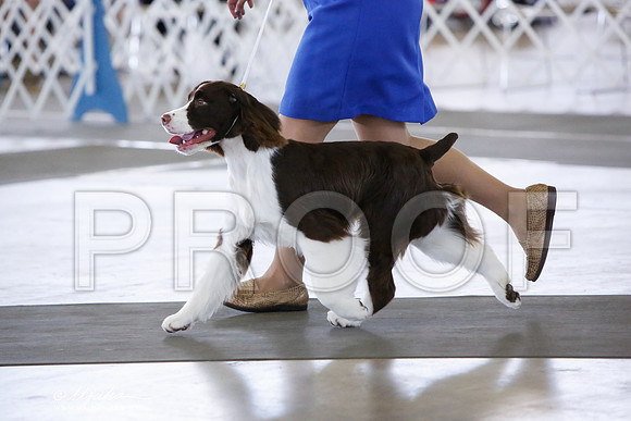 _JN_0281-DallasJul2014-HR3