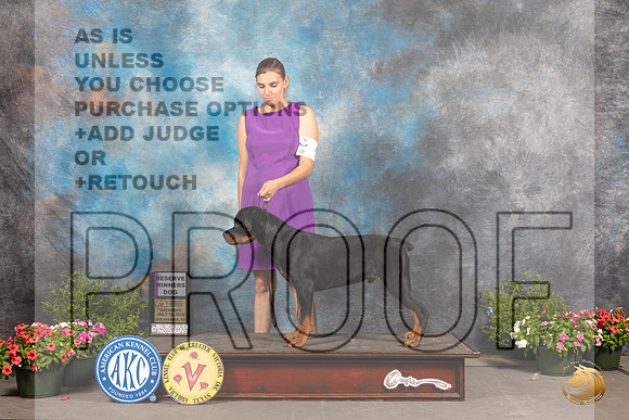 Rottweiler #5 Sat RWD Judge Jan Paulk_MJ_0169_SA_2022_HR3