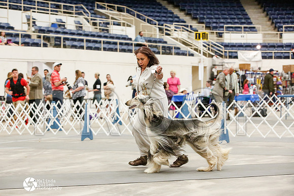 _JJ_0015-AblnMay2014-web