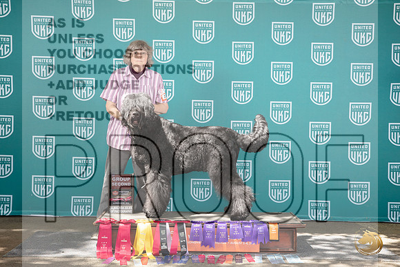 Black Russian Terrier #158 __JP_1921_Longview WA_2024_HR3