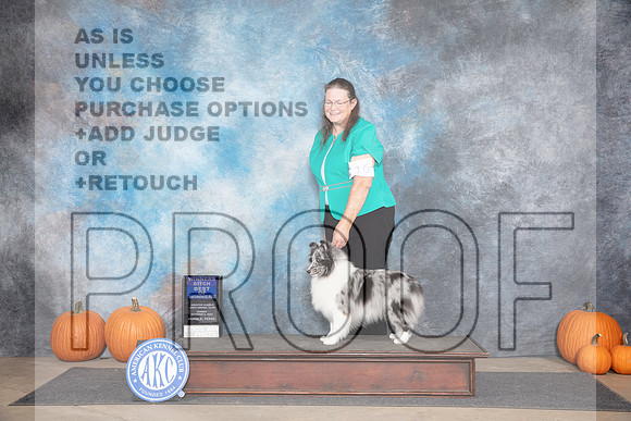 Shetland Sheepdog #16 Sun WDBOW Judge Jan Paulk __JP_9366_Humble_2024_HR3