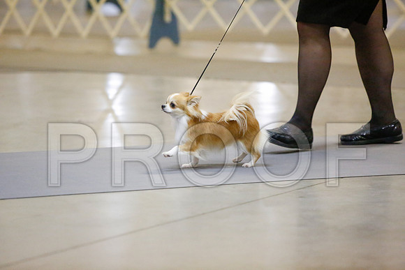 _JJ_2659-AmarilloSept2014-HR3