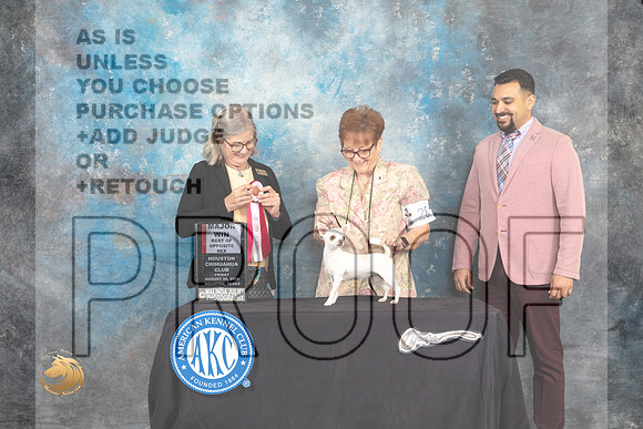 Chihuahua Smooth Coat #30 Fri1 BOS Judge Carol Pyrkosz_MJ_9605_HstnTOY_2022_HR3
