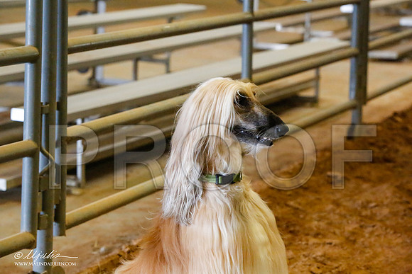 _MJ_2387-AfgBeltonOct2014-HR3