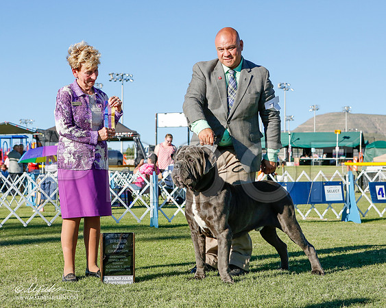 _ST_3467-2-AlamogordoOct2014-HR3