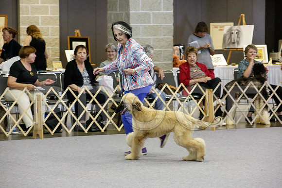 _JJ_1375-AfgBeltonOct2014-HR3