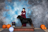 Rottweiler #5 BOB Sat Judge Jan Paulk