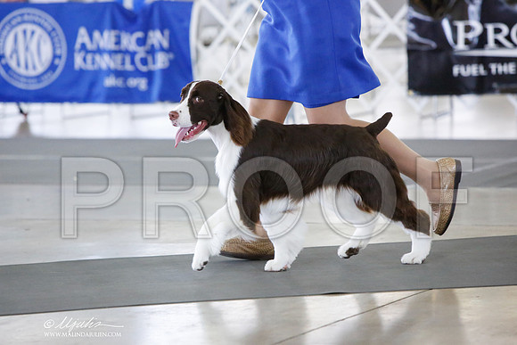 _JN_0276-DallasJul2014-HR3