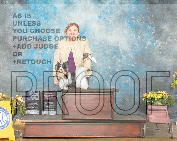 Biewer Terrier #5 Fri BOBOHBOB Judge Eugene Blake-MMJ_0484-NWARK2022-HR3