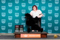 Poodle Std #184 Sat1 G2EGCH Judge Valerie Piltz