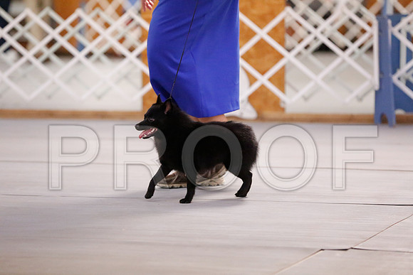_RH_6710-CarlrolltonSept2014-HR3