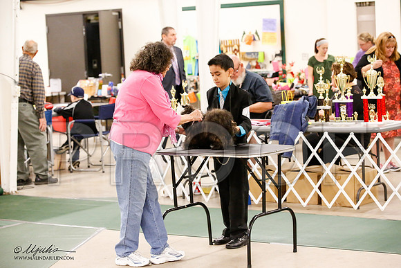 _JN_0133-NrmnNov2014-HR3