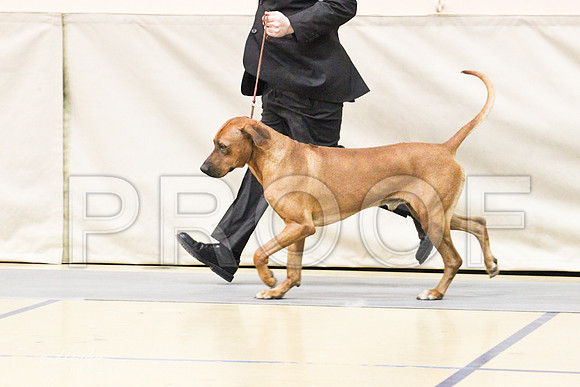 Ridgeback-9221LR
