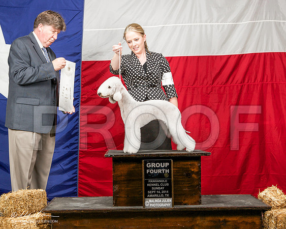 _ST_2081-AmarilloSep2014-HR3