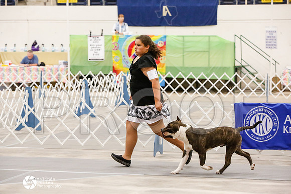 _CK_8707-AblnMay2014-web