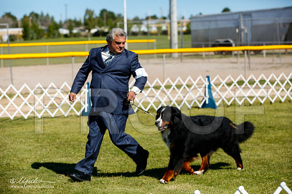 _JJ_0013-AlamogordoOct2014-HR3