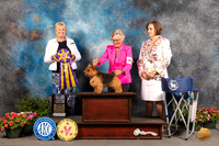 Norwich Terrier #23 Sat BISS Judge Debra Thornton