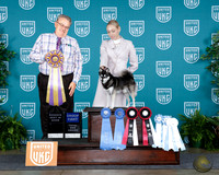 Elina Darling UKC Premier 2025