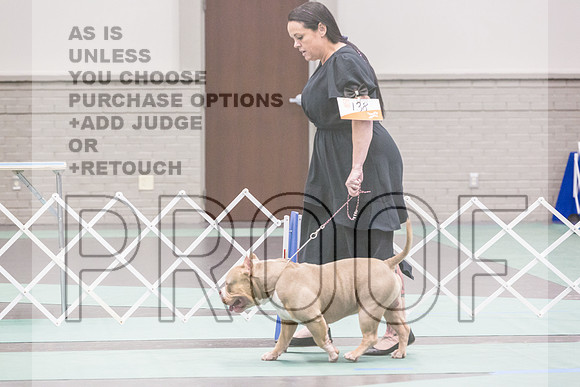 Bully Rings Fri Ring 1_JJL_6863_UKCLNGVIEWOCT2024_2024_HR3