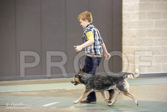 _JN_2291-BeltonJan2015-HR3